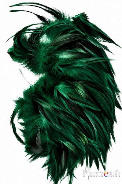 Gallo - 10-15 cm - verde abete